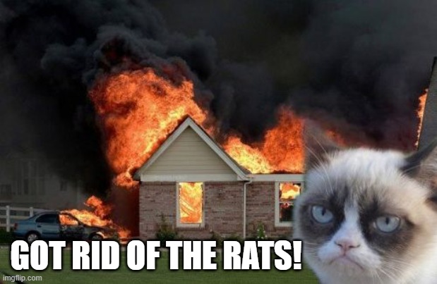 Burn Kitty Meme | GOT RID OF THE RATS! | image tagged in memes,burn kitty,grumpy cat | made w/ Imgflip meme maker