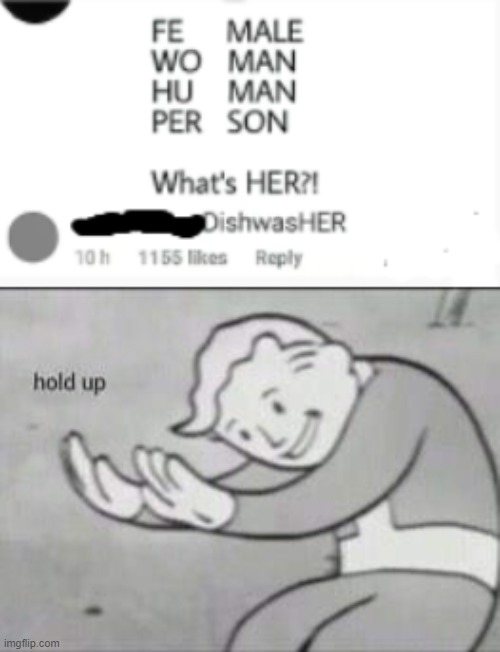 Hold the F up | image tagged in fallout hold up,hol up,memes,funny | made w/ Imgflip meme maker