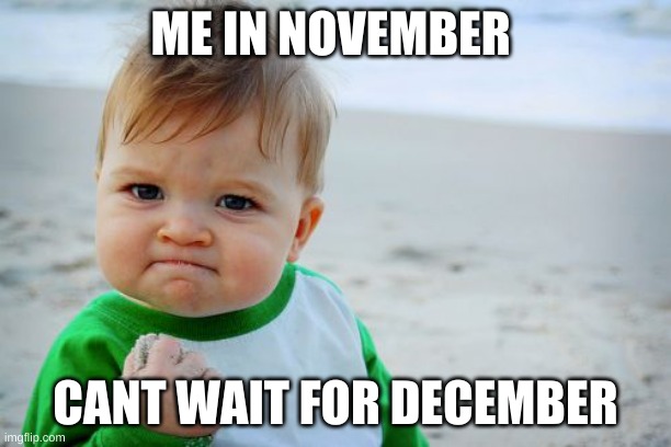 I hate november | ME IN NOVEMBER; CANT WAIT FOR DECEMBER | image tagged in memes,success kid original | made w/ Imgflip meme maker