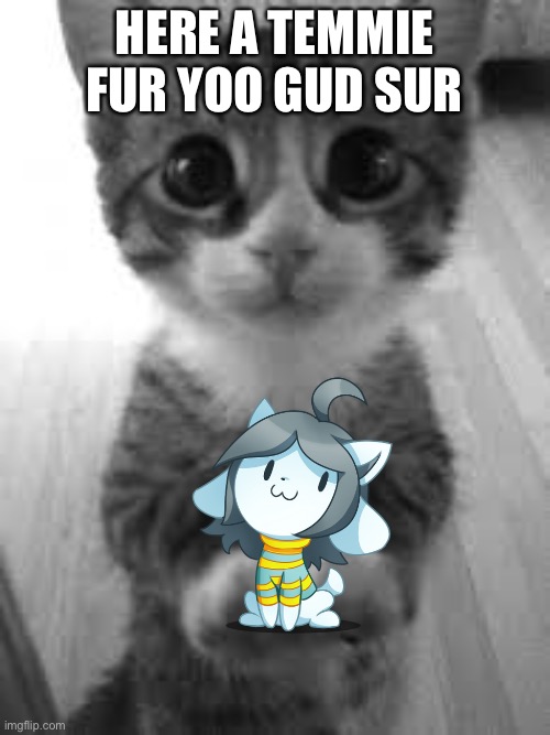 i can has, pwese? |  HERE A TEMMIE FUR YOO GUD SUR | image tagged in i can has pwese | made w/ Imgflip meme maker