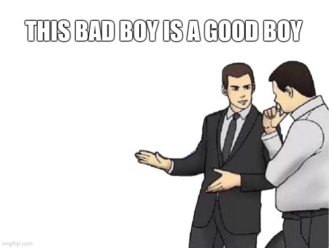 Car Salesman Slaps Hood Meme | THIS BAD BOY IS A GOOD BOY | image tagged in memes,car salesman slaps hood | made w/ Imgflip meme maker