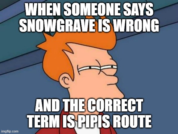 Deltarune Snowgrave meme | WHEN SOMEONE SAYS SNOWGRAVE IS WRONG; AND THE CORRECT TERM IS PIPIS ROUTE | image tagged in memes,futurama fry,spoilers,deltarune | made w/ Imgflip meme maker