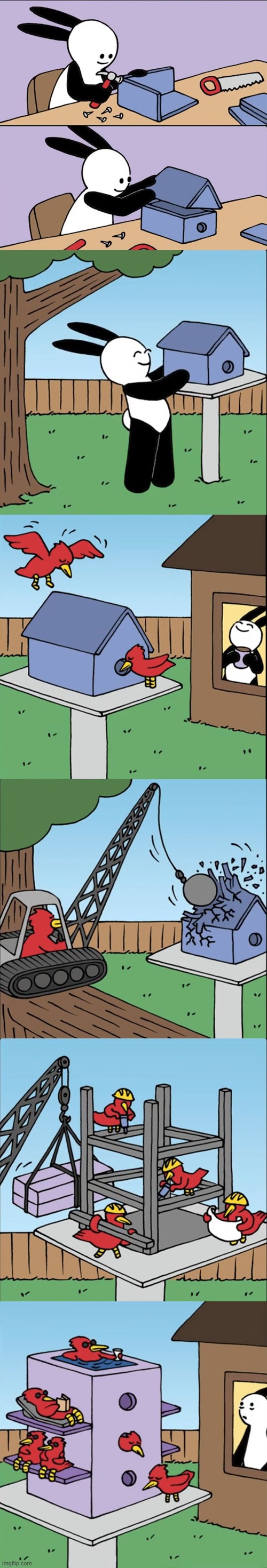 Did you know that birds can build their own house | image tagged in comics | made w/ Imgflip meme maker