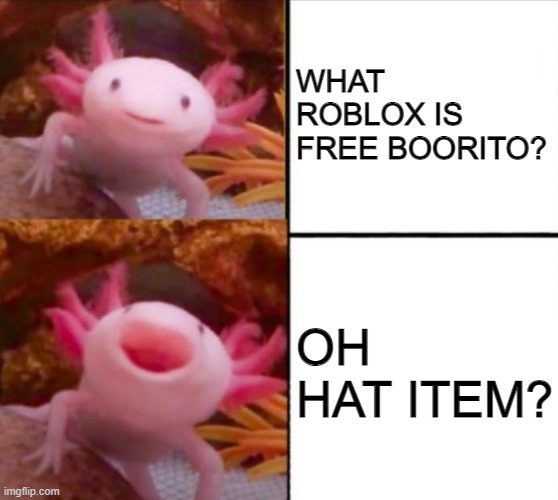 FREE BOORITO? - Imgflip