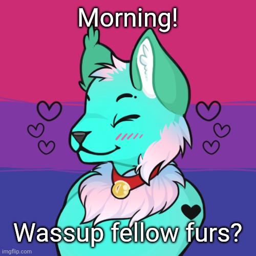 How's everyone doing? | Morning! Wassup fellow furs? | image tagged in furry,fursona,oc,picrew | made w/ Imgflip meme maker