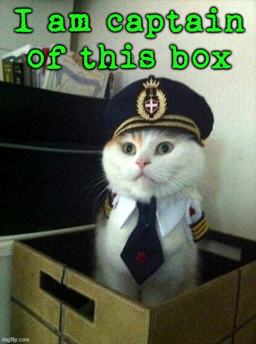 I am captain of this box | image tagged in cats | made w/ Imgflip meme maker
