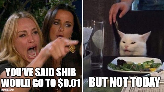 SHIBArmy vs Cat - SHIB to $0.01? | YOU'VE SAID SHIB WOULD GO TO $0.01; BUT NOT TODAY | image tagged in angry lady cat | made w/ Imgflip meme maker