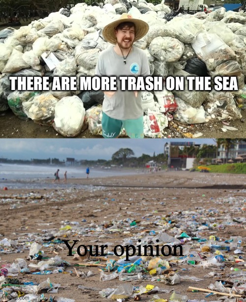 THERE ARE MORE TRASH ON THE SEA; Your opinion | image tagged in pinneaple,mar,memes,no es divertido | made w/ Imgflip meme maker