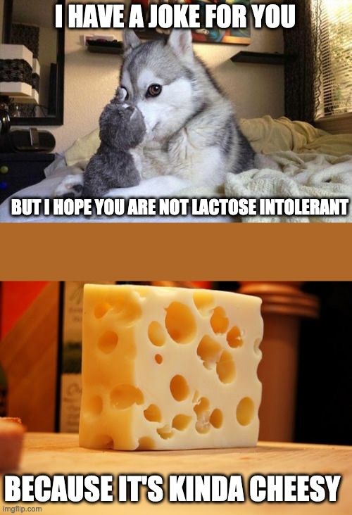 I HAVE A JOKE FOR YOU BUT I HOPE YOU ARE NOT LACTOSE INTOLERANT BECAUSE IT'S KINDA CHEESY | image tagged in memes,bad pun dog,swiss cheese | made w/ Imgflip meme maker
