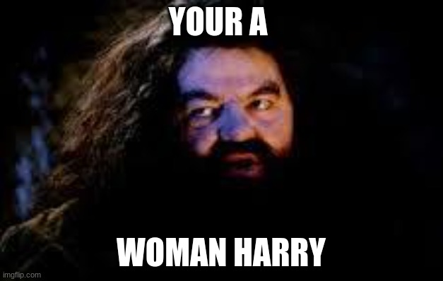 Harry | YOUR A; WOMAN HARRY | image tagged in your a wizard harry | made w/ Imgflip meme maker