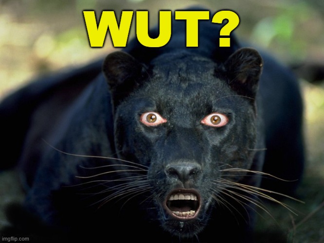 WUT? | made w/ Imgflip meme maker