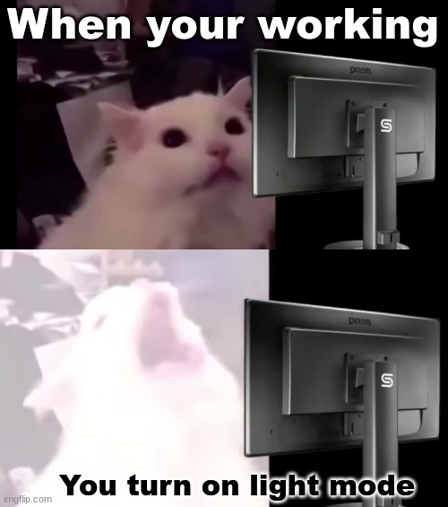Cat V.S. Light mode | When your working; You turn on light mode | image tagged in computer,cat,cats,funny cats,light mode | made w/ Imgflip meme maker