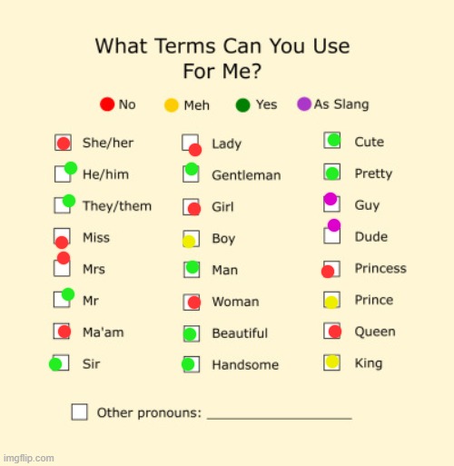 Pronouns Sheet | image tagged in pronouns sheet | made w/ Imgflip meme maker