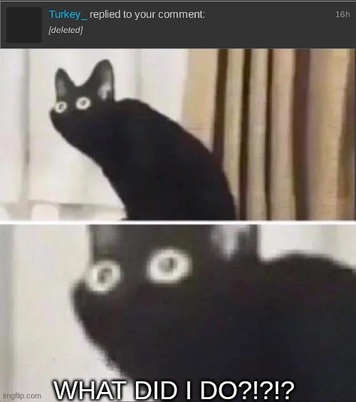 WHAT DID I DO?!?!? | image tagged in oh no black cat | made w/ Imgflip meme maker