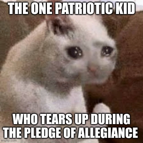 CaTTT | THE ONE PATRIOTIC KID; WHO TEARS UP DURING THE PLEDGE OF ALLEGIANCE | image tagged in dank cat memes xd | made w/ Imgflip meme maker