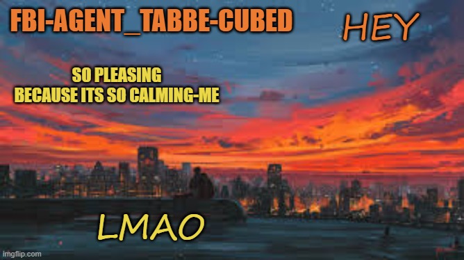 E 100 | HEY; LMAO | image tagged in my sunset temp p | made w/ Imgflip meme maker