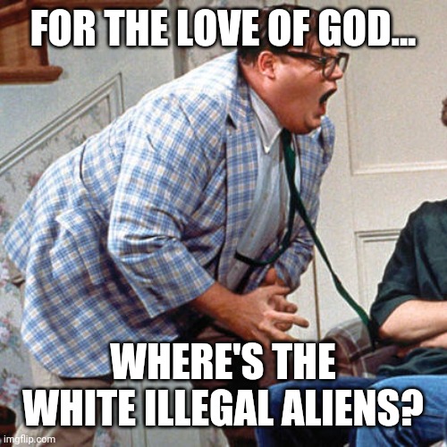 Haven't seen a one. | FOR THE LOVE OF GOD... WHERE'S THE WHITE ILLEGAL ALIENS? | image tagged in memes | made w/ Imgflip meme maker