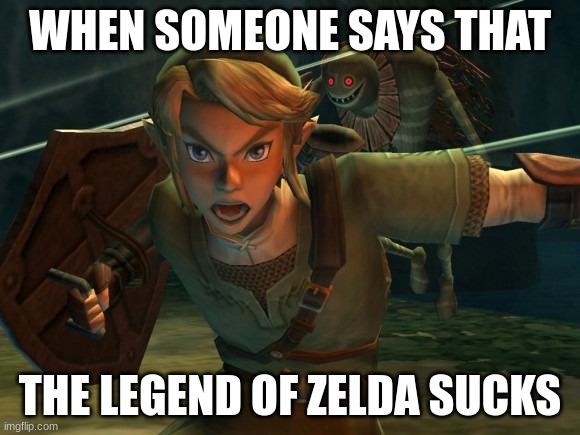 its the truth | WHEN SOMEONE SAYS THAT; THE LEGEND OF ZELDA SUCKS | image tagged in link legend of zelda yelling | made w/ Imgflip meme maker