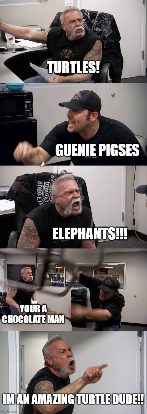 American Chopper Argument | TURTLES! GUENIE PIGSES; ELEPHANTS!!! YOUR A CHOCOLATE MAN; IM AN AMAZING TURTLE DUDE!! | image tagged in memes,american chopper argument | made w/ Imgflip meme maker