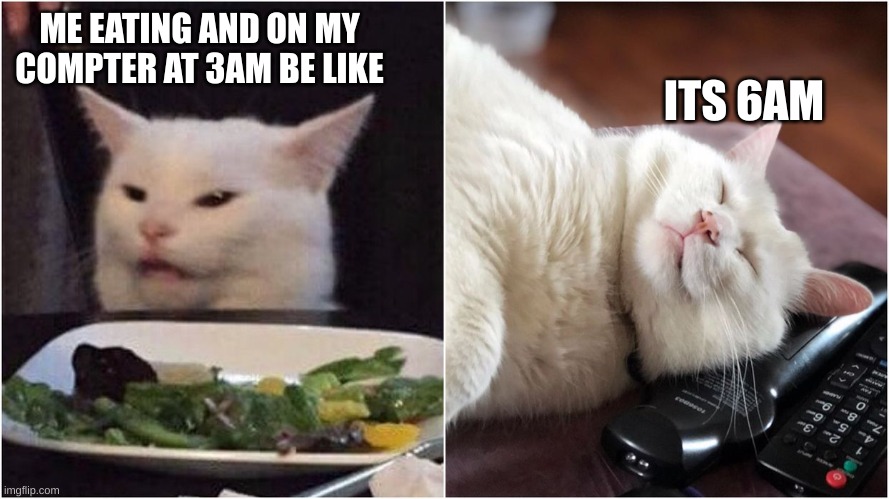 ITS 6AM; ME EATING AND ON MY COMPTER AT 3AM BE LIKE | image tagged in cats | made w/ Imgflip meme maker