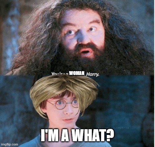 You're a wizard Harry | WOMAN I'M A WHAT? | image tagged in you're a wizard harry | made w/ Imgflip meme maker