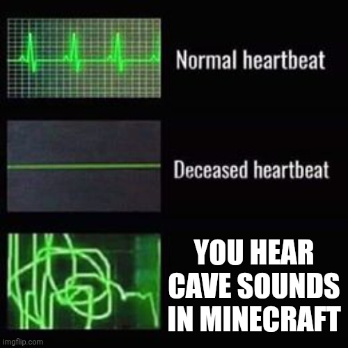 heartbeat rate | YOU HEAR CAVE SOUNDS IN MINECRAFT | image tagged in heartbeat rate | made w/ Imgflip meme maker