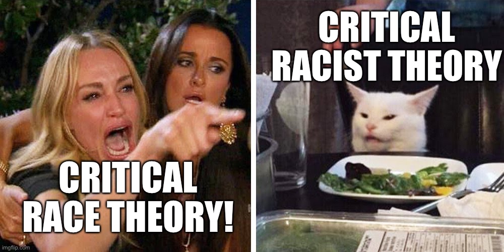 Critical WHAT Theory? | CRITICAL RACIST THEORY; CRITICAL RACE THEORY! | image tagged in smudge the cat,crt,political meme,critical race theory | made w/ Imgflip meme maker