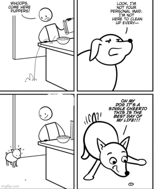 Dogs | image tagged in comics,dog | made w/ Imgflip meme maker