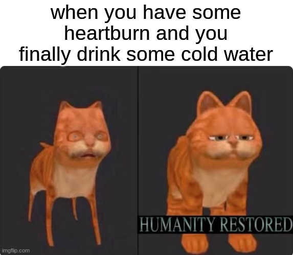 Faccss |  when you have some heartburn and you finally drink some cold water | image tagged in humanity restored,relatable,memes | made w/ Imgflip meme maker