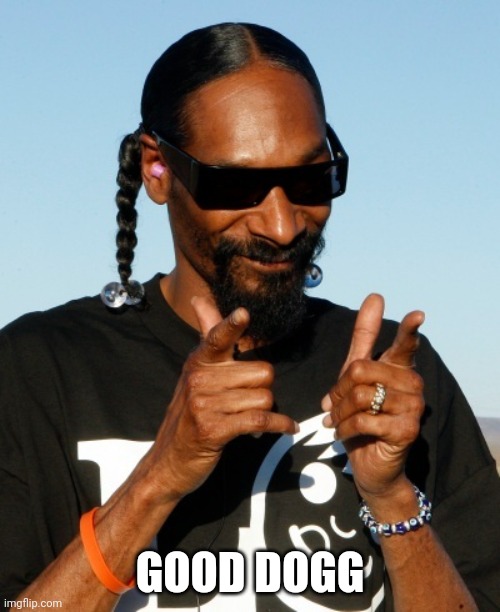 Snoop Dogg approves | GOOD DOGG | image tagged in snoop dogg approves | made w/ Imgflip meme maker