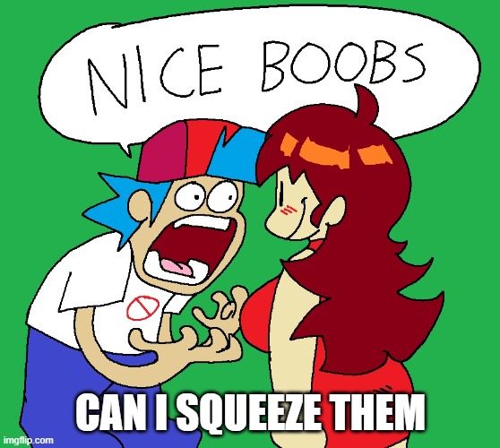 Nice boobs | CAN I SQUEEZE THEM | image tagged in nice boobs | made w/ Imgflip meme maker