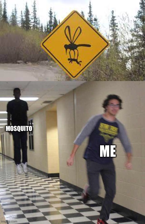 MOSQUITO; ME | image tagged in floating boy chasing running boy | made w/ Imgflip meme maker
