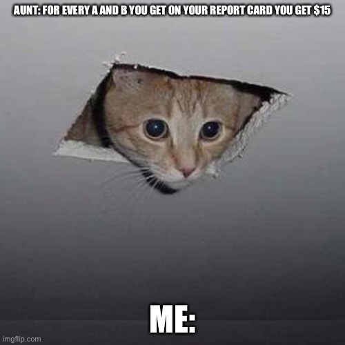Ceiling Cat Meme | AUNT: FOR EVERY A AND B YOU GET ON YOUR REPORT CARD YOU GET $15; ME: | image tagged in memes,ceiling cat | made w/ Imgflip meme maker