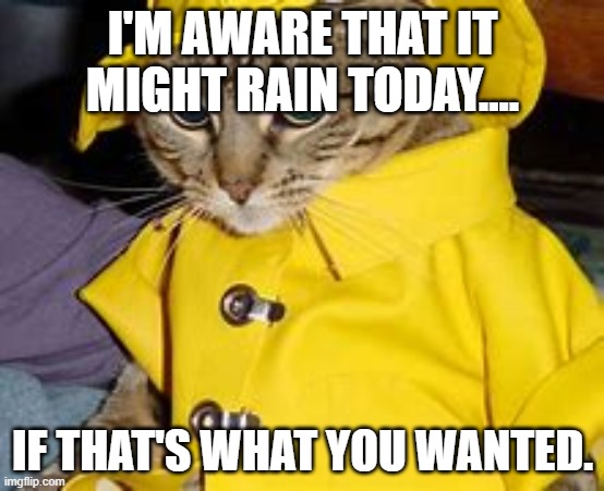 I'M AWARE THAT IT MIGHT RAIN TODAY.... IF THAT'S WHAT YOU WANTED. | image tagged in cats,rain,sense of humor,funny cat memes | made w/ Imgflip meme maker
