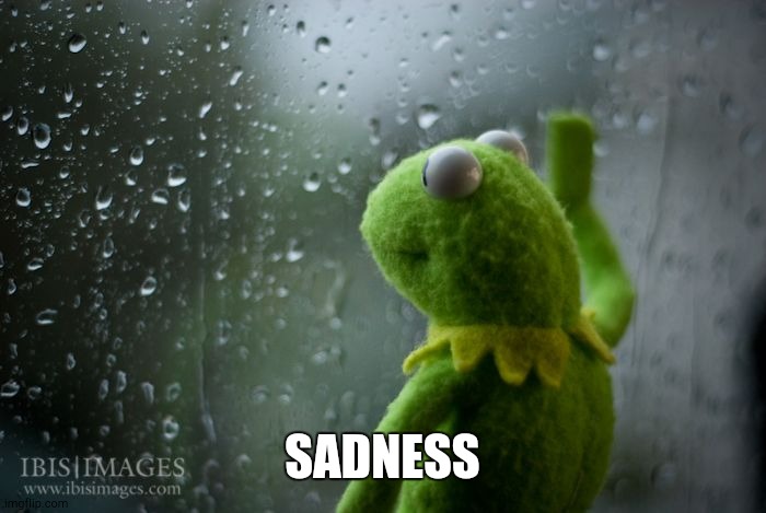 kermit window | SADNESS | image tagged in kermit window | made w/ Imgflip meme maker