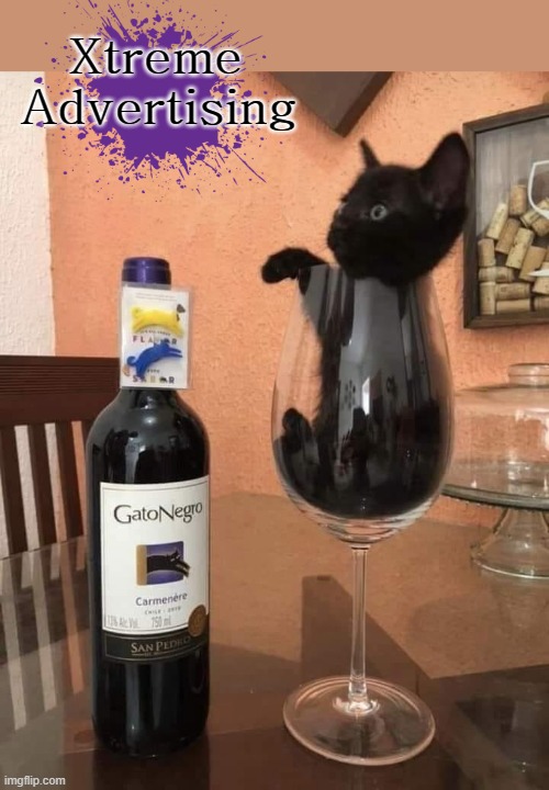Gato is Cat ! | Xtreme
 Advertising | image tagged in needs a pinch of x | made w/ Imgflip meme maker