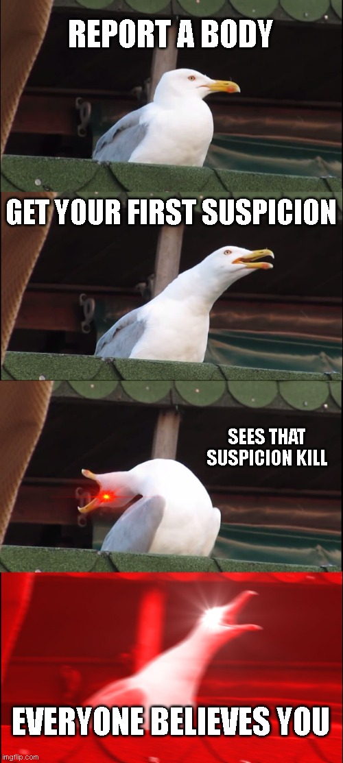 RGSE | REPORT A BODY; GET YOUR FIRST SUSPICION; SEES THAT SUSPICION KILL; EVERYONE BELIEVES YOU | image tagged in memes,inhaling seagull | made w/ Imgflip meme maker