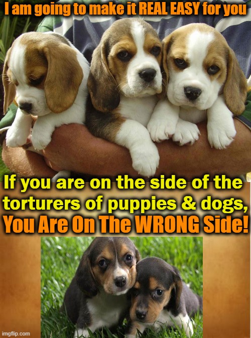 Puppies Died, Fauci Lied! | I am going to make it REAL EASY for you; If you are on the side of the 

torturers of puppies & dogs, You Are On The WRONG Side! | image tagged in politics,animal cruelty,experiments,dr fauci,the left,liberalism | made w/ Imgflip meme maker