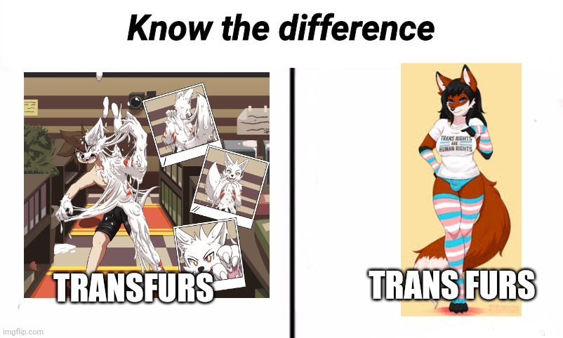 Made this cuz why not lol | Know the difference; TRANSFURS; TRANS FURS | image tagged in know the difference psychic and side kick,furry,changed | made w/ Imgflip meme maker