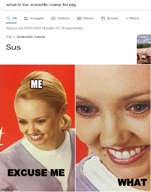I guess pigs are sus... | ME; EXCUSE ME                                                                   WHAT | image tagged in the what blank,sus,among us,when the imposter is sus,funny | made w/ Imgflip meme maker