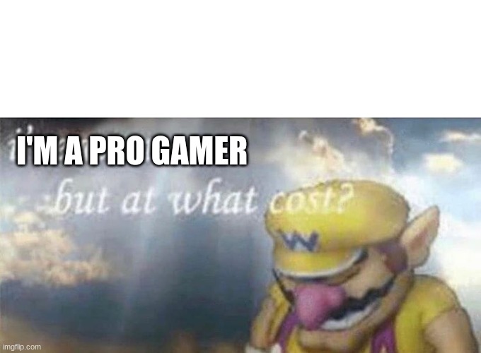 ive won but at what cost | I'M A PRO GAMER | image tagged in ive won but at what cost | made w/ Imgflip meme maker