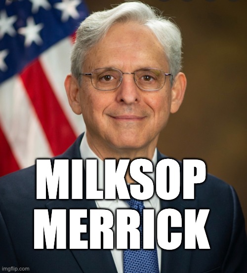 MILKSOP MERRICJ | MILKSOP; MERRICK | image tagged in merrick garland,democrats,trump,bannon,doj | made w/ Imgflip meme maker