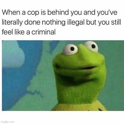 WHAT THE HECK…..GET AWAY FROM ME | image tagged in memes,funny,kermit,lmao,cops,driving | made w/ Imgflip meme maker