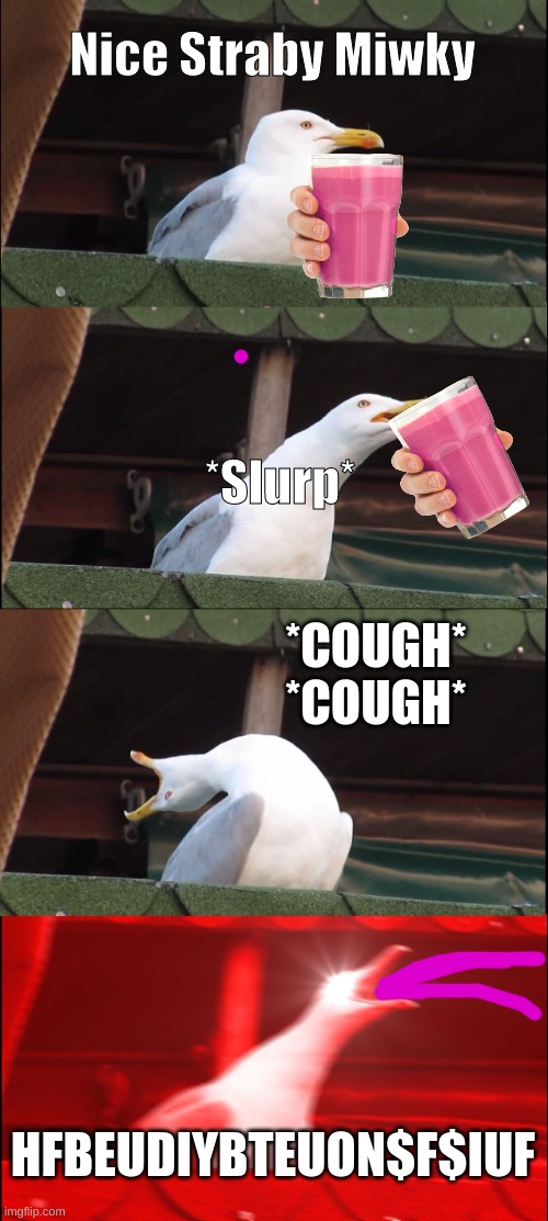 s e a g u l l - c o u g h  C O U G H | Nice Straby Miwky; *Slurp*; *COUGH* *COUGH*; HFBEUDIYBTEUON$F$IUF | image tagged in memes,inhaling seagull | made w/ Imgflip meme maker