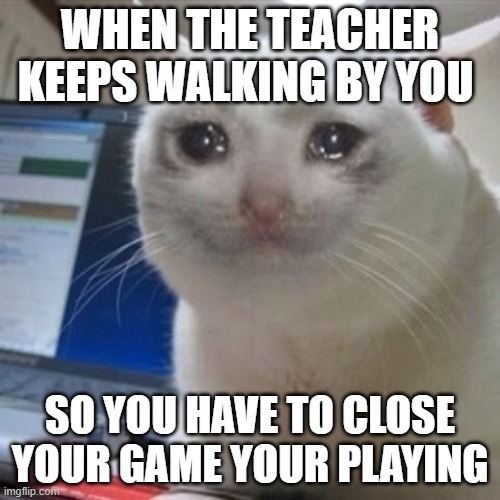 F in chat for respect. Relatable anyone?!? | WHEN THE TEACHER KEEPS WALKING BY YOU; SO YOU HAVE TO CLOSE YOUR GAME YOUR PLAYING | image tagged in crying cat,relatable,memes,funny | made w/ Imgflip meme maker