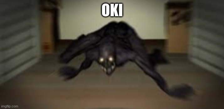 OKI | image tagged in lol | made w/ Imgflip meme maker
