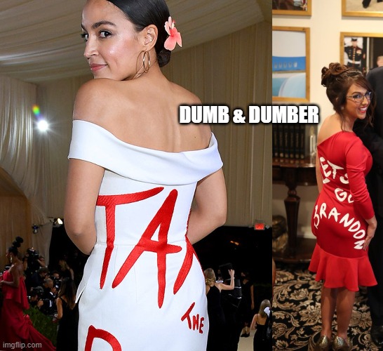 Dumb & Dumber | DUMB & DUMBER | image tagged in special kind of stupid | made w/ Imgflip meme maker