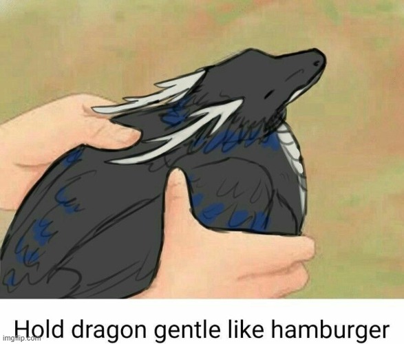 Hold dragon gentle like hamburger | image tagged in hamburger,dragon | made w/ Imgflip meme maker