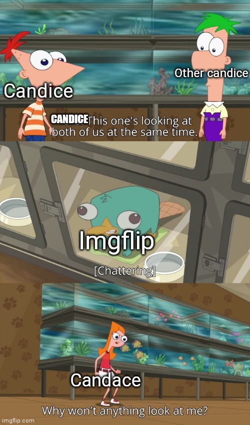 why won't anything look at me? | Candice Candace Other candice Imgflip CANDICE | image tagged in why won't anything look at me | made w/ Imgflip meme maker