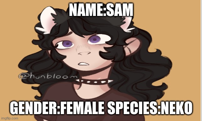 NAME:SAM GENDER:FEMALE SPECIES:NEKO | made w/ Imgflip meme maker